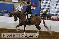 11r12_2273 proof