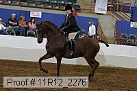 11r12_2276 proof