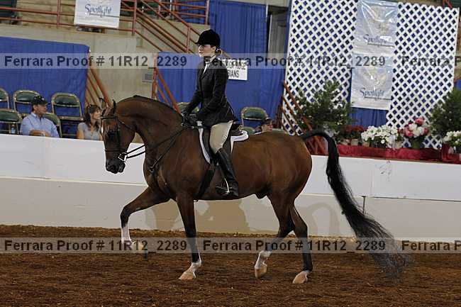 Proof 11r12_2289
