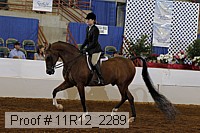 11r12_2289 proof