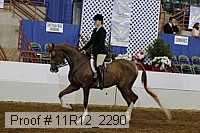 11r12_2290 proof