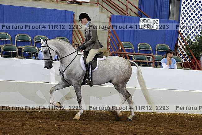 Proof 11r12_2293