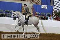 11r12_2293 proof