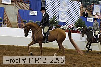 11r12_2295 proof