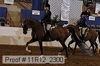 11r12_2300 proof
