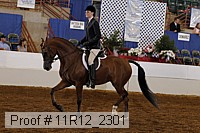 11r12_2301 proof
