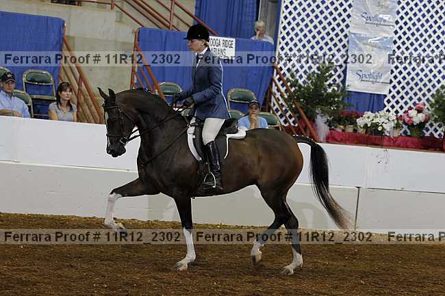 Proof 11r12_2302