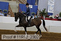 11r12_2302 proof