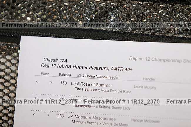 Proof 11r12_2375