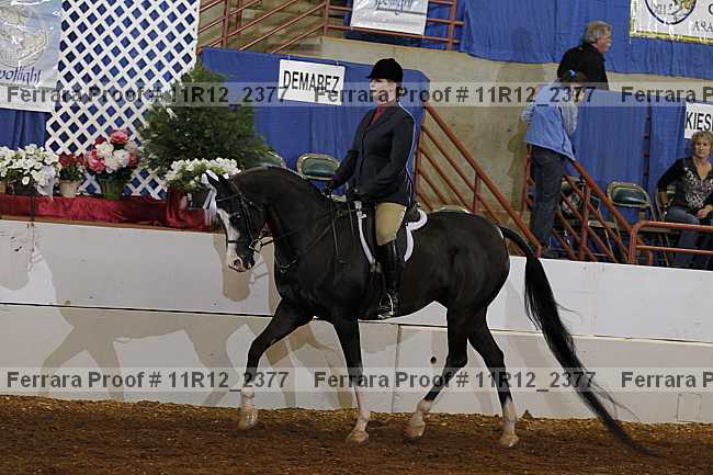 Proof 11r12_2377