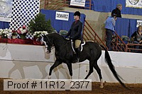 11r12_2377 proof