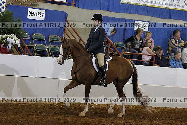 Proof 11r12_2379