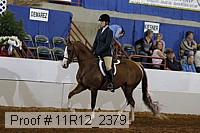 11r12_2379 proof