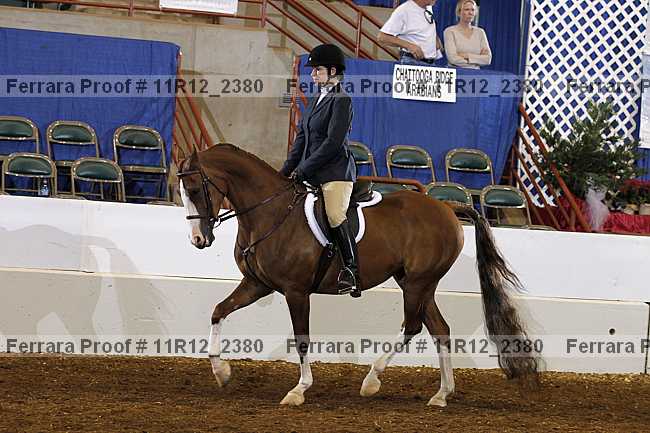 Proof 11r12_2380