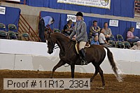 11r12_2384 proof