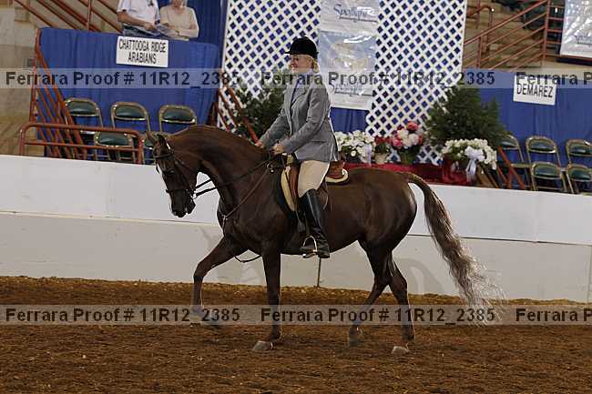 Proof 11r12_2385