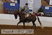 11r12_2385 proof