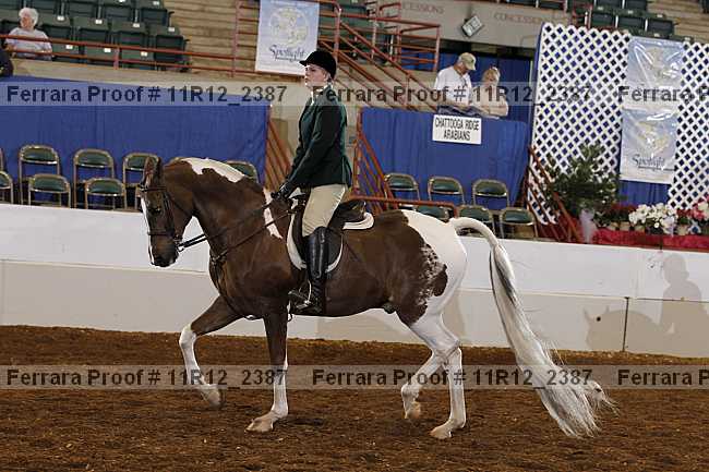 Proof 11r12_2387