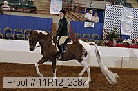 11r12_2387 proof