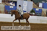 11r12_2388 proof