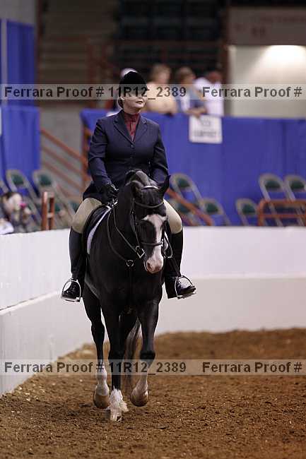 Proof 11r12_2389