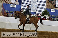 11r12_2390 proof