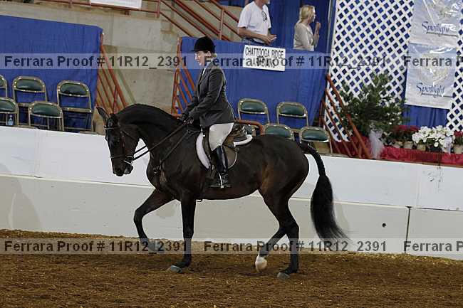Proof 11r12_2391