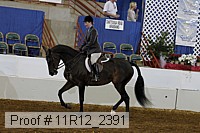 11r12_2391 proof
