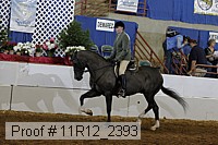 11r12_2393 proof