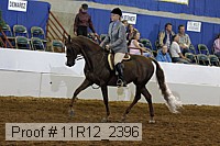 11r12_2396 proof