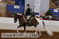 11r12_2398 proof