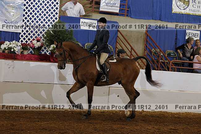 Proof 11r12_2401