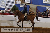 11r12_2401 proof