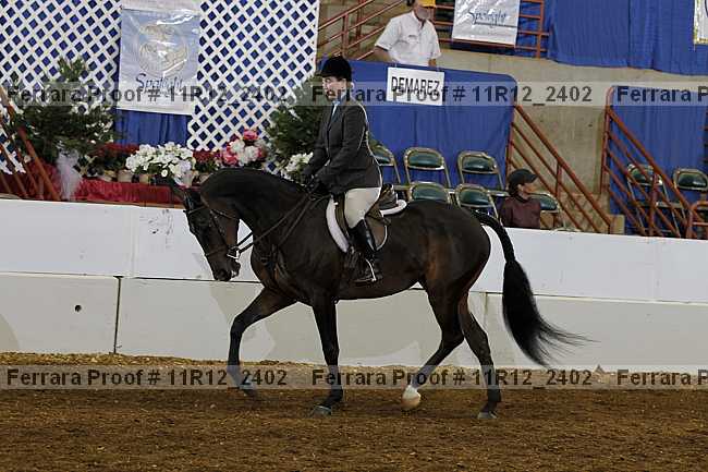 Proof 11r12_2402