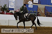 11r12_2402 proof