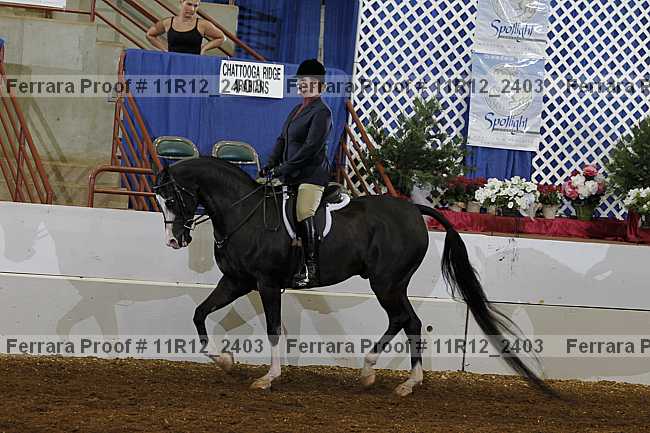 Proof 11r12_2403