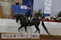 11r12_2403 proof