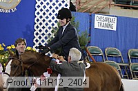 11r12_2404 proof