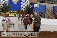 11r12_2408 proof