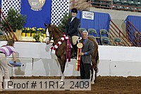 11r12_2409 proof