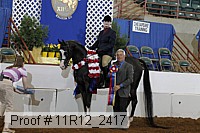 11r12_2417 proof