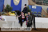 11r12_2418 proof