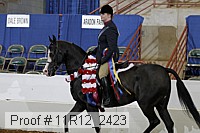 11r12_2423 proof
