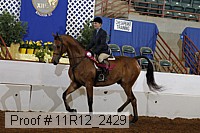 11r12_2429 proof