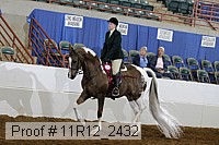 11r12_2432 proof