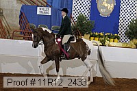 11r12_2433 proof