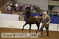 11r12_2446 proof