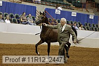 11r12_2447 proof