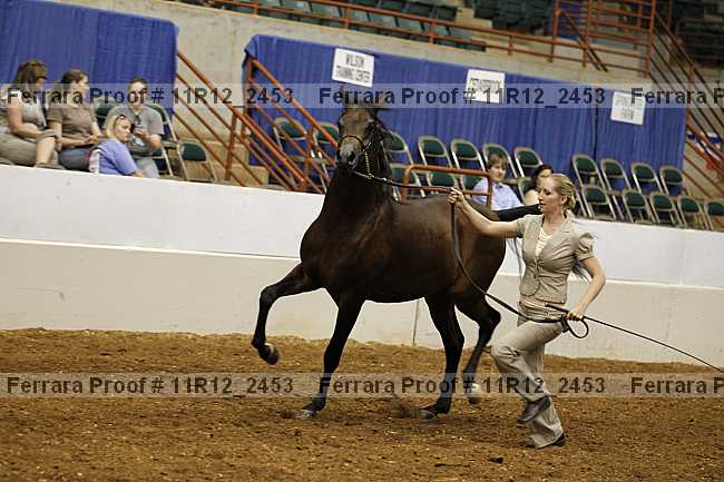 Proof 11r12_2453