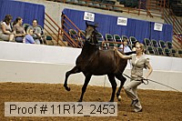 11r12_2453 proof